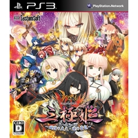 三極姫~戦煌の大火・暁の覇龍~(PS3版) 三極姫~戦煌の大火・暁の覇龍~(PS3版)
